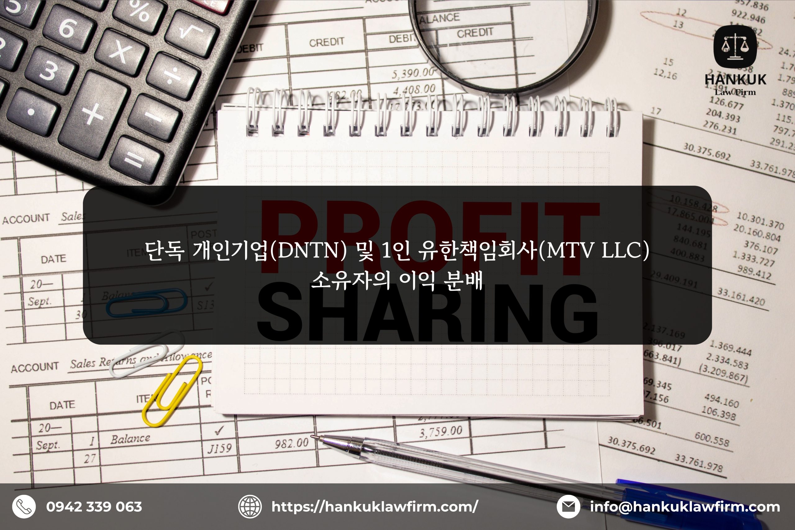 단독 개인기업(DNTN) 및 1인 유한책임회사(MTV LLC) 소유자의 이익 분배